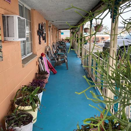 Michaels Siesta Motel St. Petersburg Exterior photo